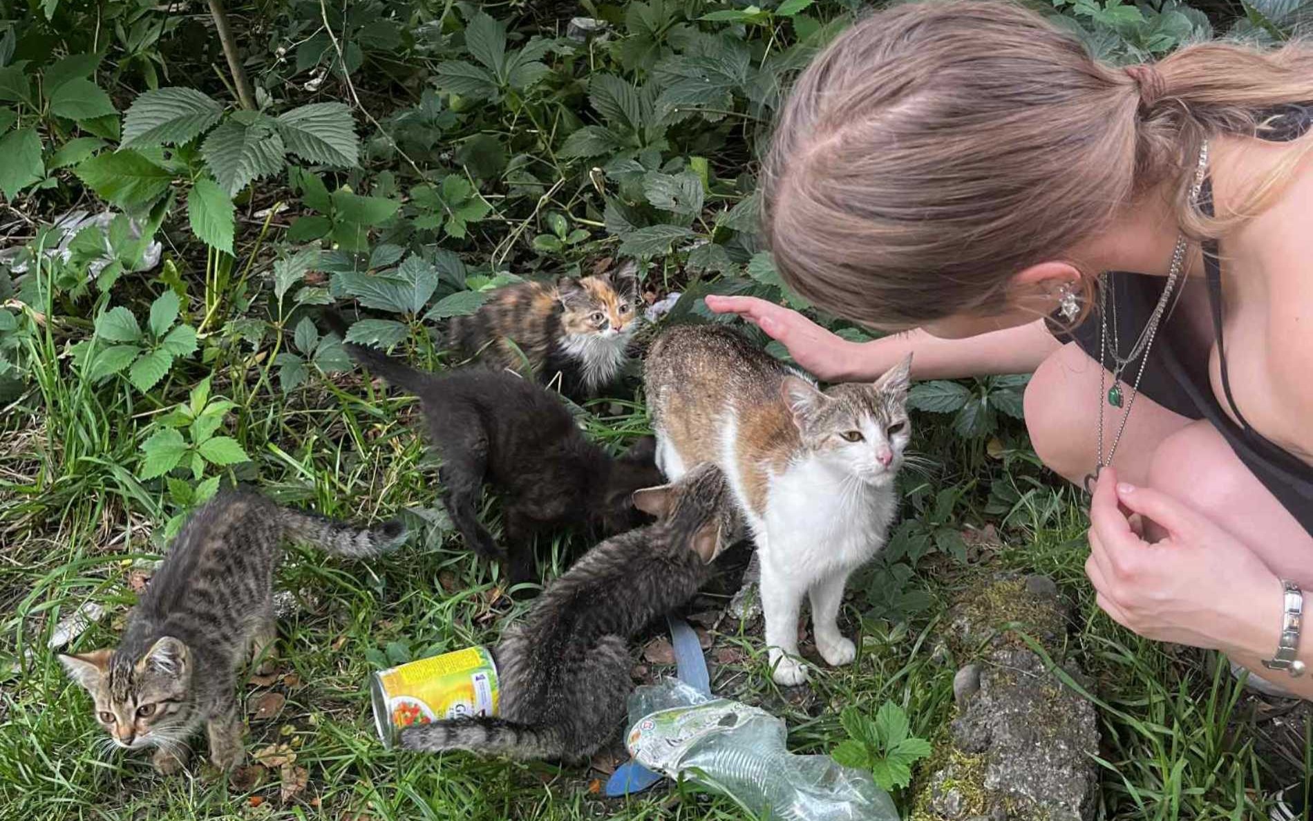 Pomóż czworonogom w Międzynarodowy Dzień Psa