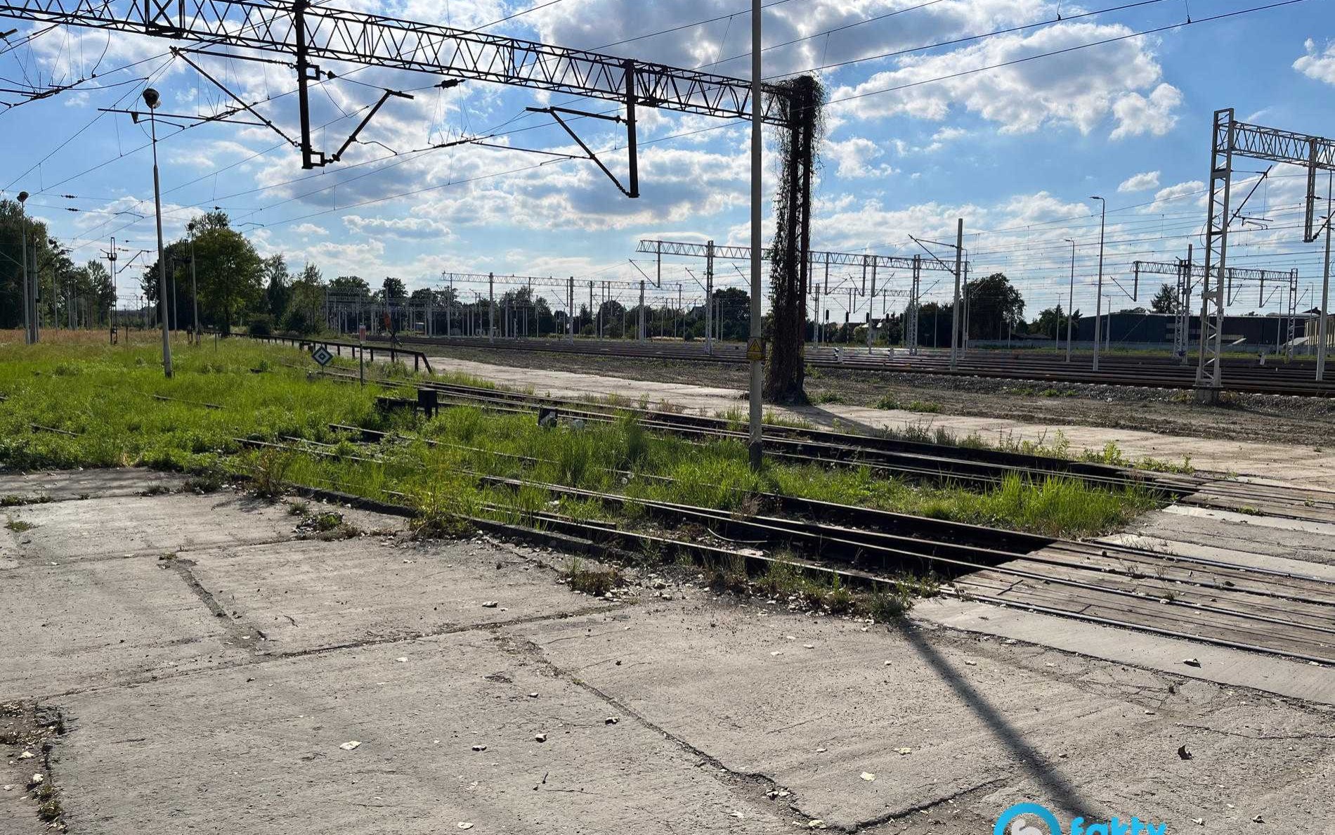 Wyburzenia na Orzeszkowej i Wyzwolenia – FOTO