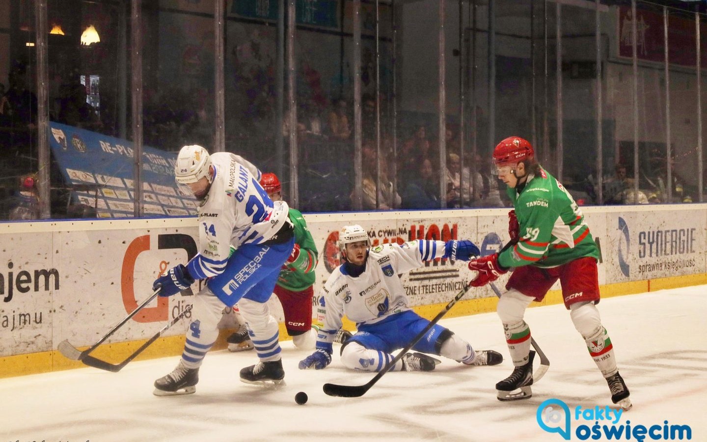 Z beniaminkiem u siebie i mistrzem Polski w Tychach