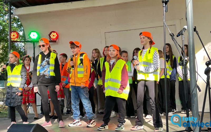 Słońce, wolontariat i pozytywna energia w Grojcu – FILM, FOTO