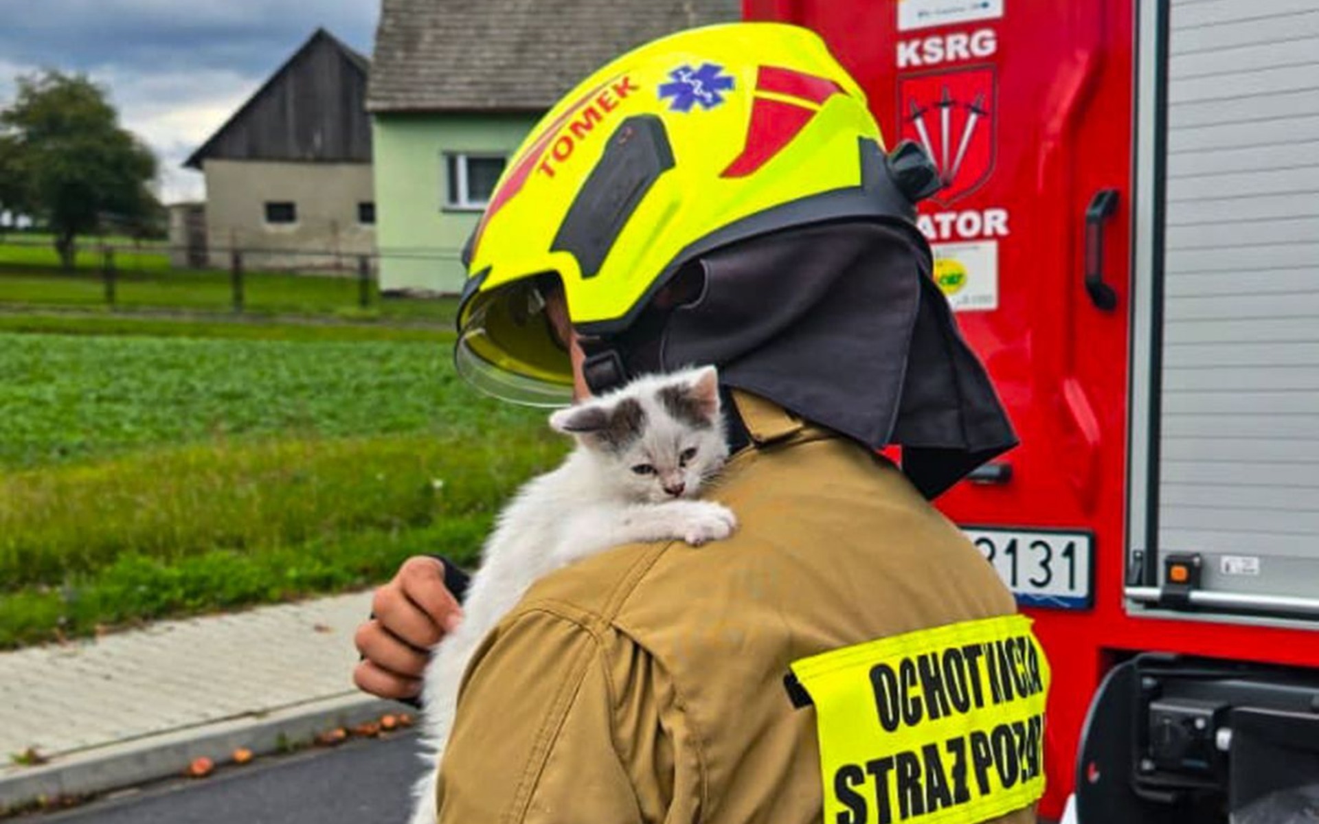 Druhowie pomogli przestraszonemu zwierzakowi