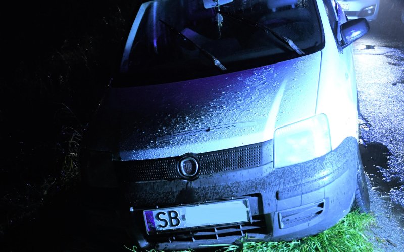 Tajemnicza panda w rowie. Policja prosi o pomoc świadków – FOTO