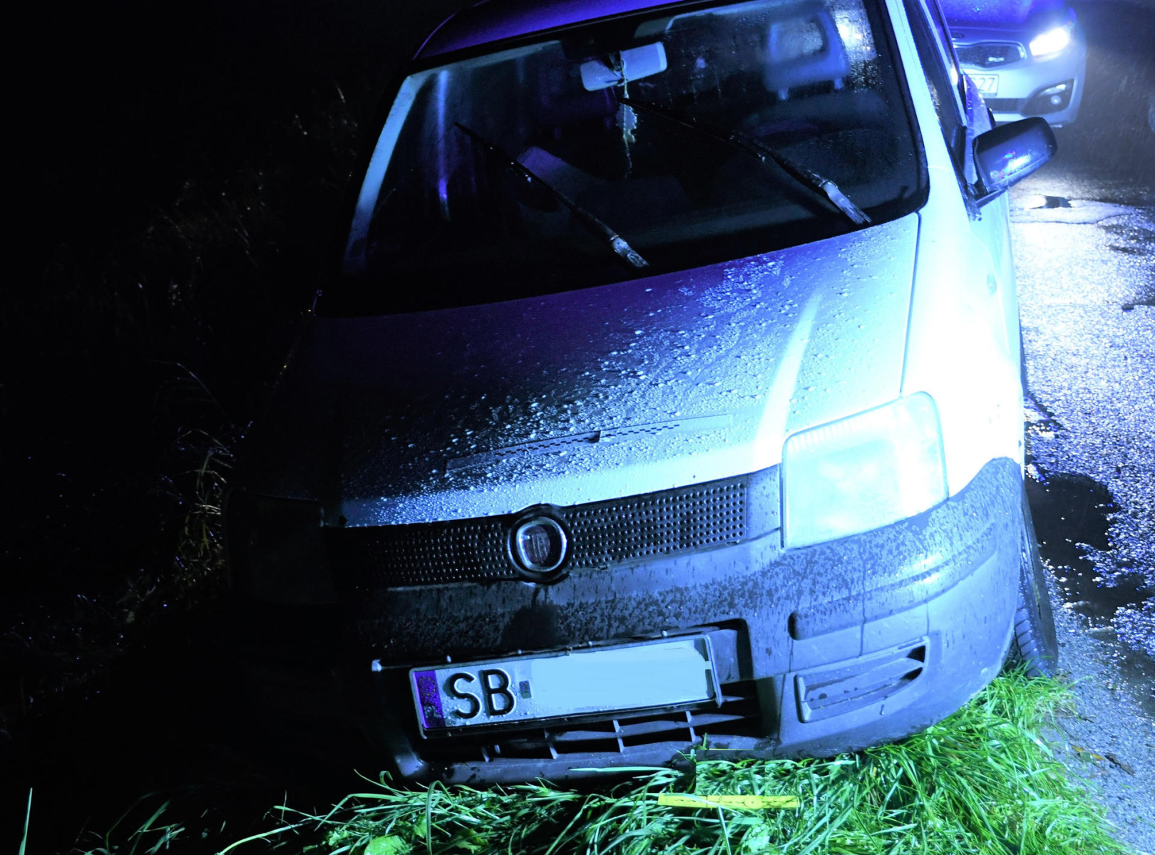 Tajemnicza panda w rowie. Policja prosi o pomoc świadków – FOTO