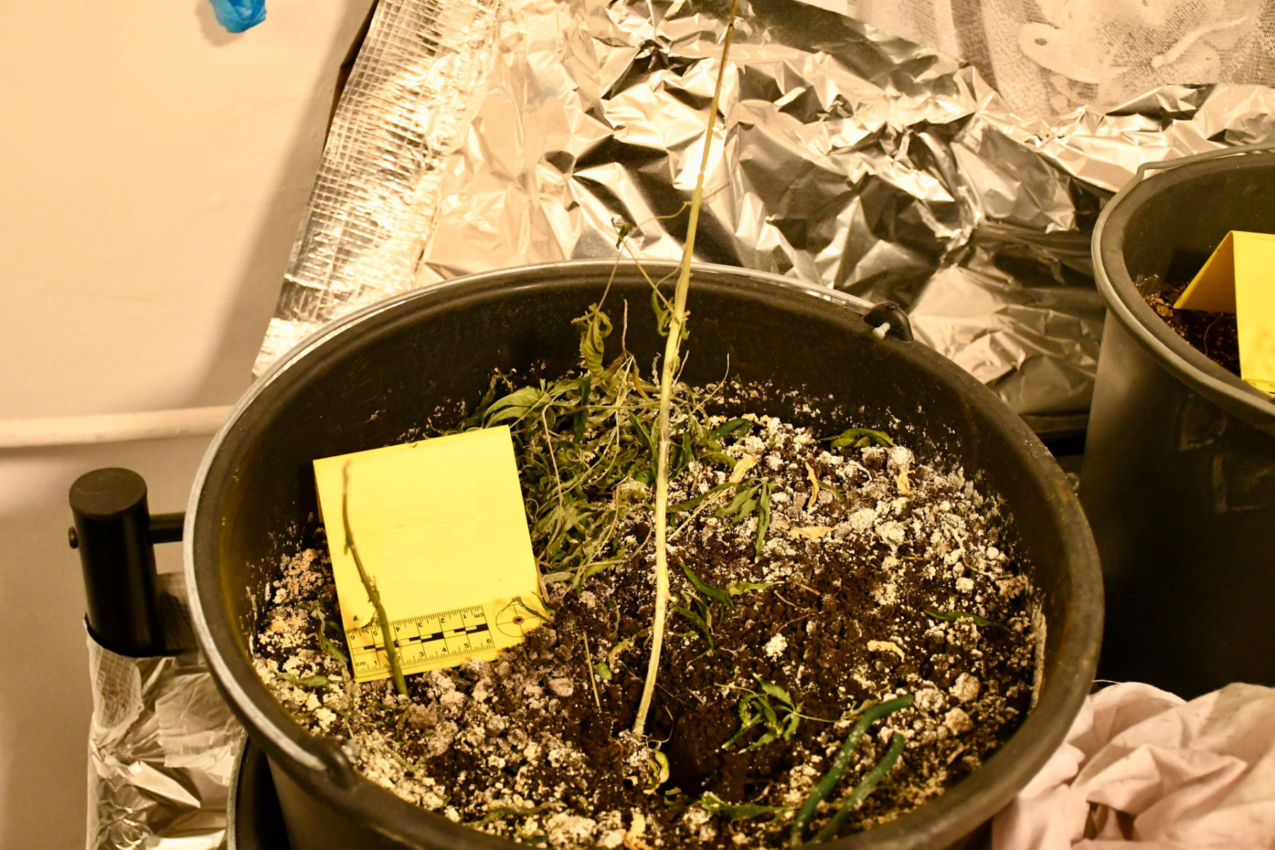 Wymyślił wypadek, by wezwać służby. W mieszkaniu ukrywał susz konopi