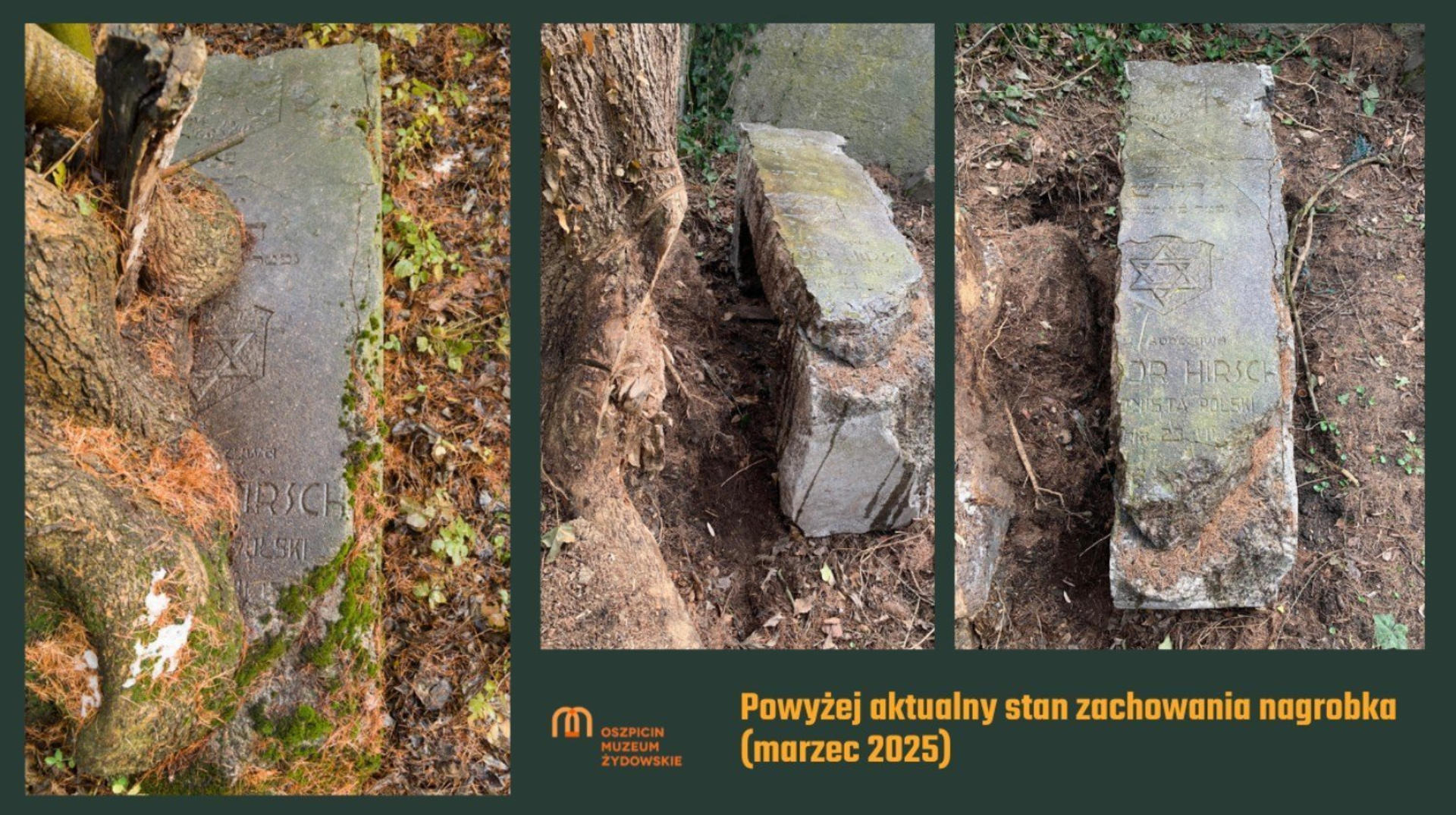 Pamięć i historia. Uroczystość na cmentarzu żydowskim w Oświęcimiu