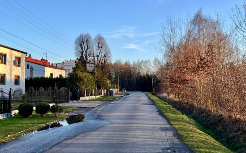 Petycja w sprawie ogrodzenia przy Auschwitz II - Birkenau: „Chrońmy krajobraz i przyrodę”