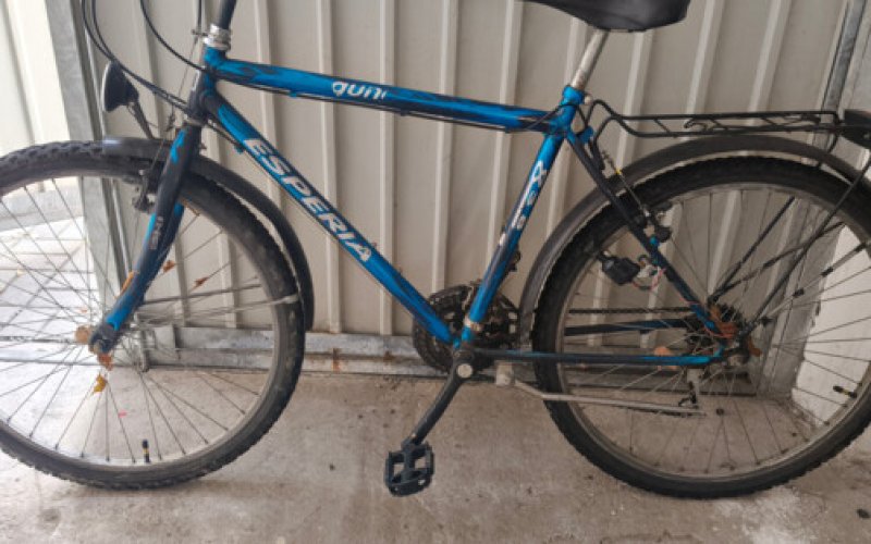 Niebieska esperia czeka na właściciela