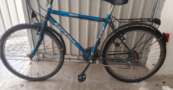 Niebieska esperia czeka na właściciela