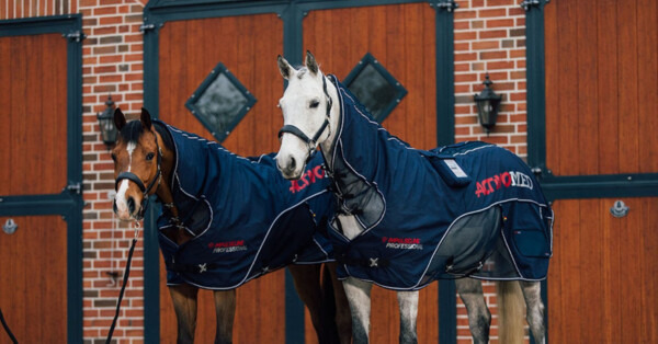 Końskie marzenie pod choinkę. Witeź, Eros i Wawrzyn z apelem