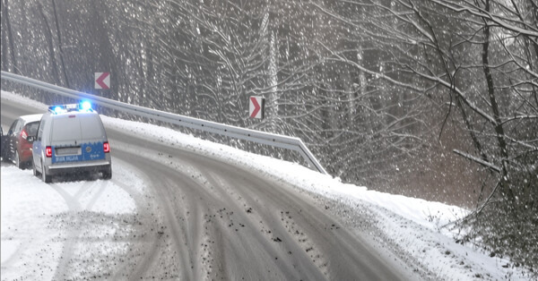 Kierująca wjechała w auto, które hamowało przed sarną