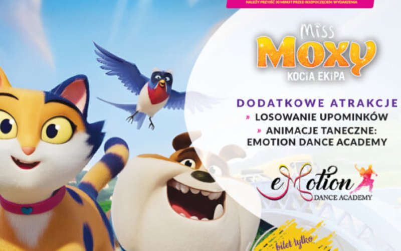 Poranek dziecięcy - Miss Moxy. Kocia ekipa