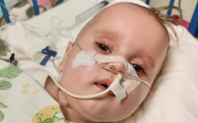 Kolędowanie dla Małgosi, dziewczynki walczącej z guzem mózgu