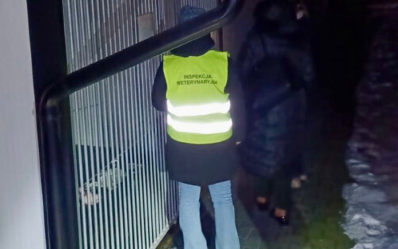 Schroniska pod lupą, protokoły z Oświęcimia i Chełmka