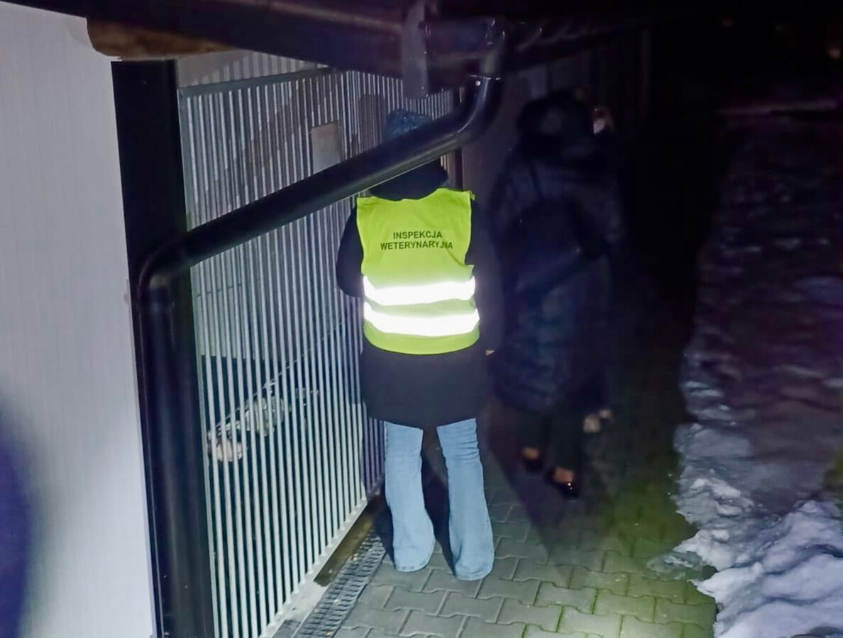 Schroniska pod lupą, protokoły z Oświęcimia i Chełmka