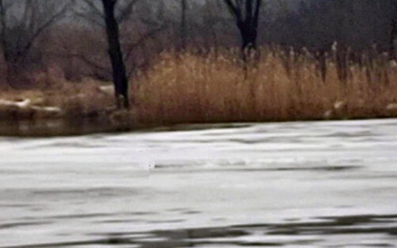 Skakali po zamarzniętej rzece