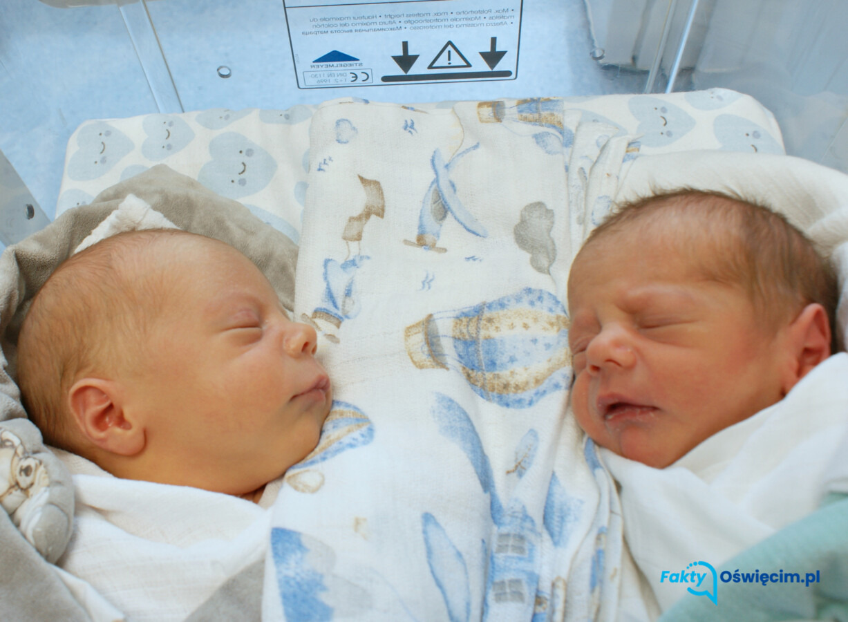 Noworodkowa galeria Faktów Oświęcim - FOTO