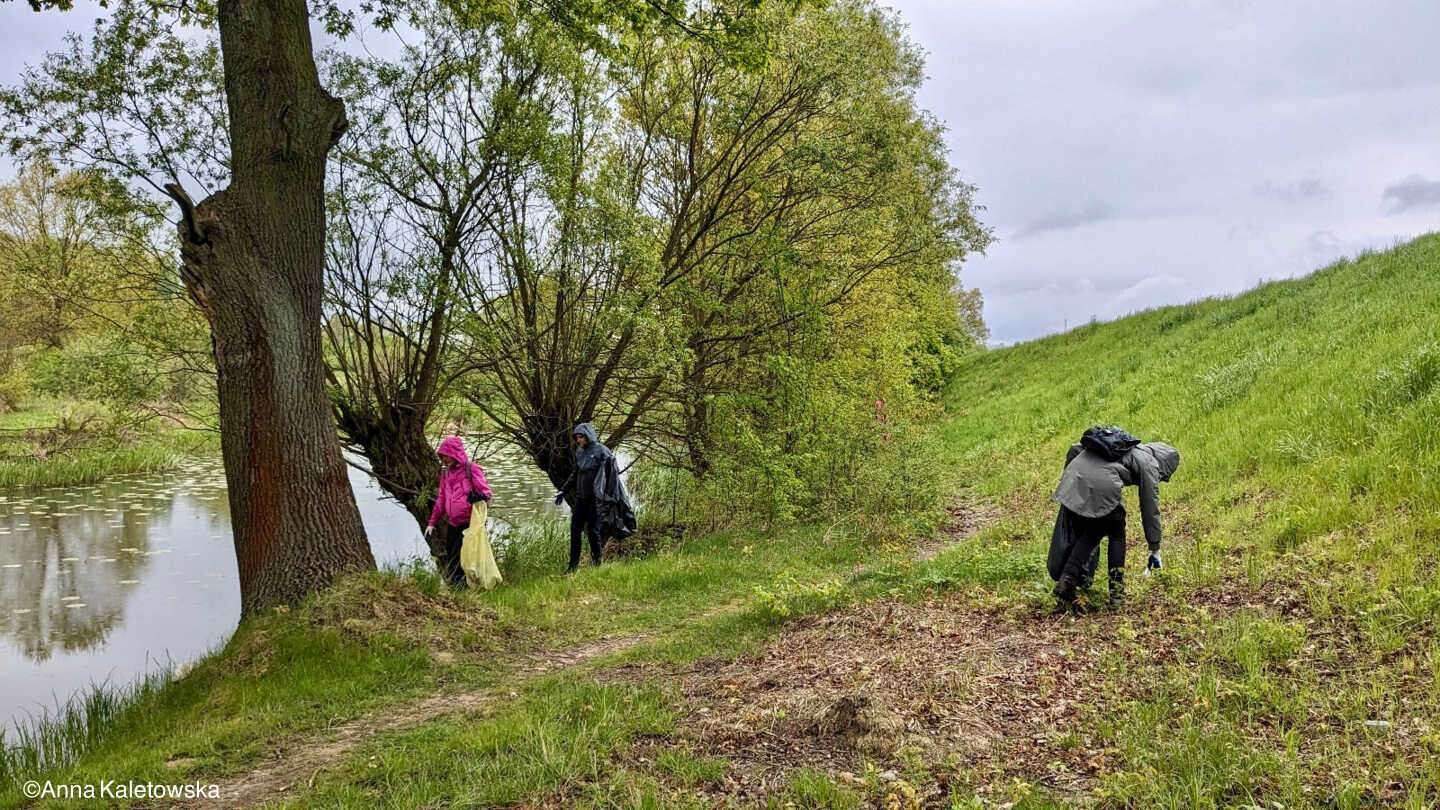 Brzezinka znów rusza do akcji. Czas na Operację Czysta Rzeka