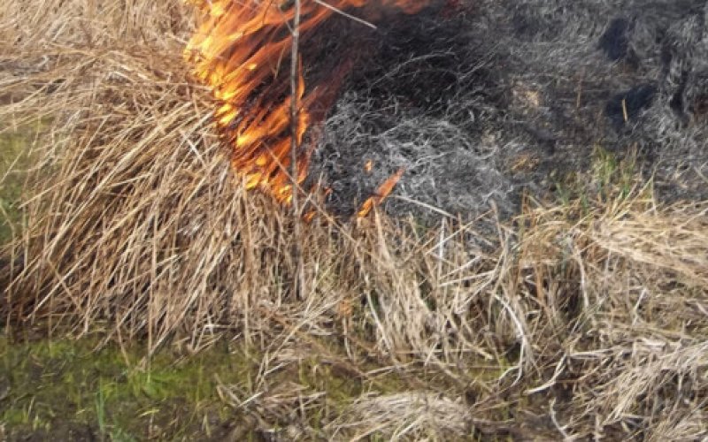 Podpalił łąkę i dostał mandat