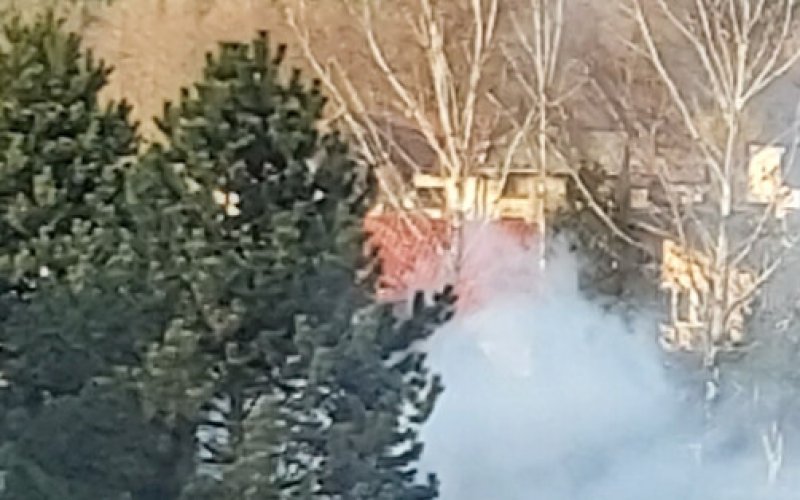 Ognisko w ogrodzie i zadymienie w Brzeszczach