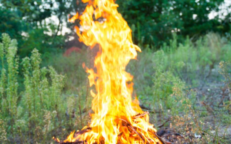 Ognisko w lesie. Interweniował dzielnicowy i leśnicy