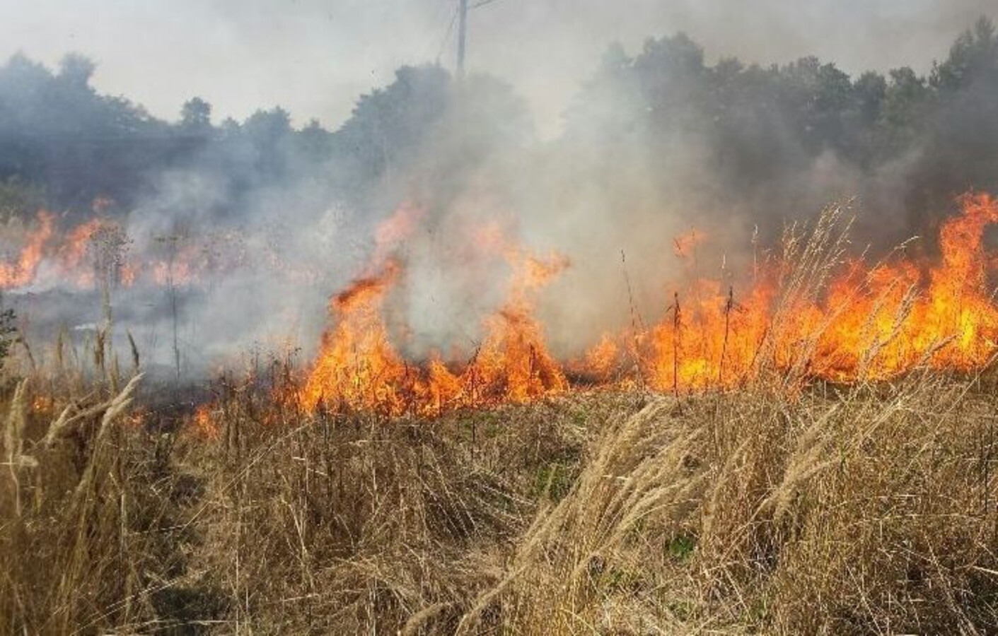 Podpalenia czy awaria hamulców?