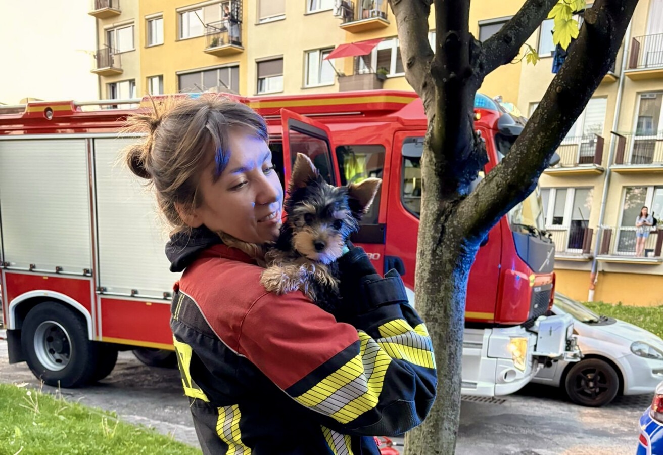 Druhowie uratowali pieska podczas interwencji