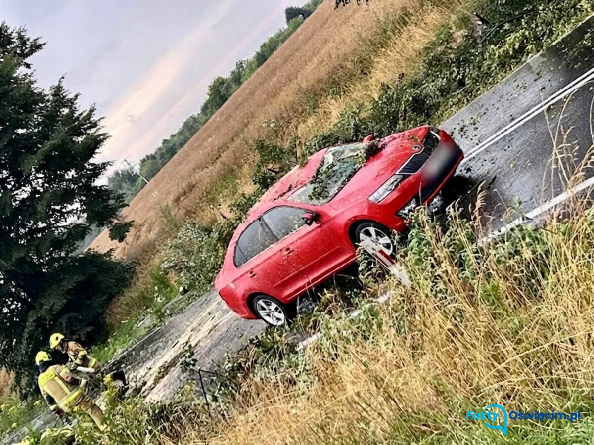 Powalone drzewa po nawałnicy. Służby w akcji - FOTO