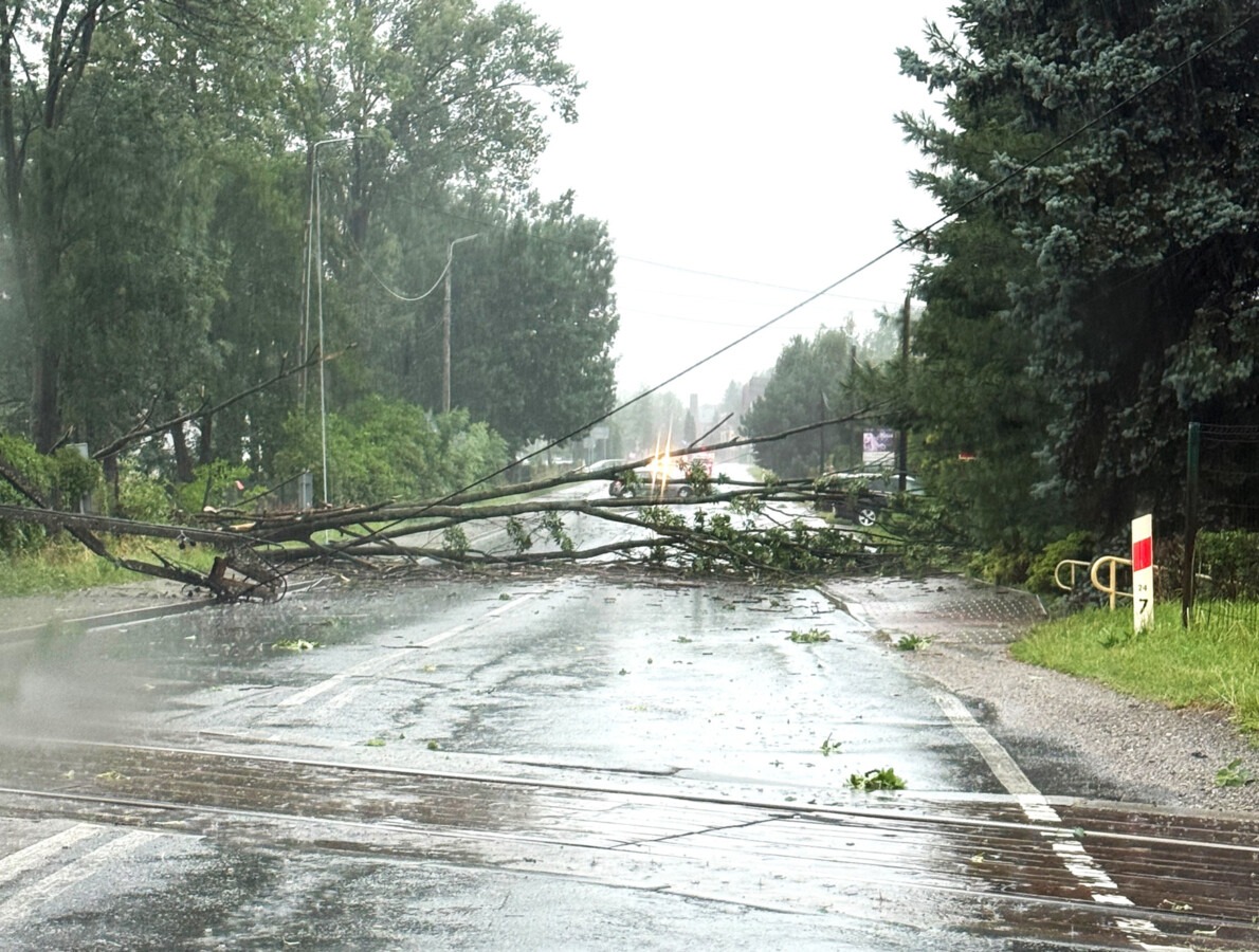 Burza sparaliżowała drogi. Służby działały godzinami - FOTO