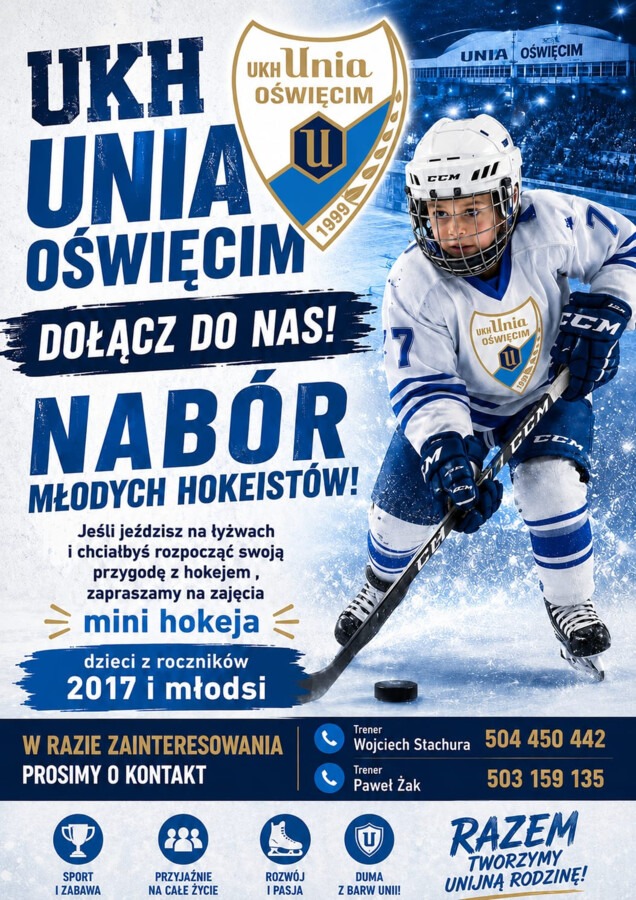 Graj w hokeja