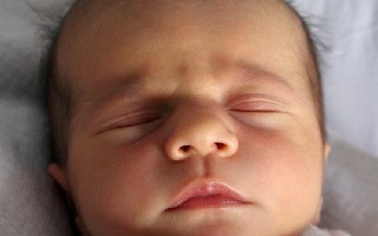 Witamy wśród nas dziesięcioro maluchów – FOTO