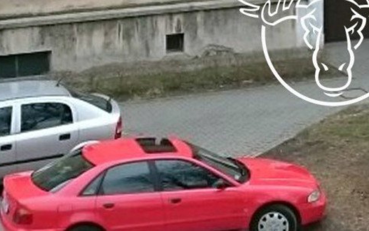 Karne Łosie pod starostwem