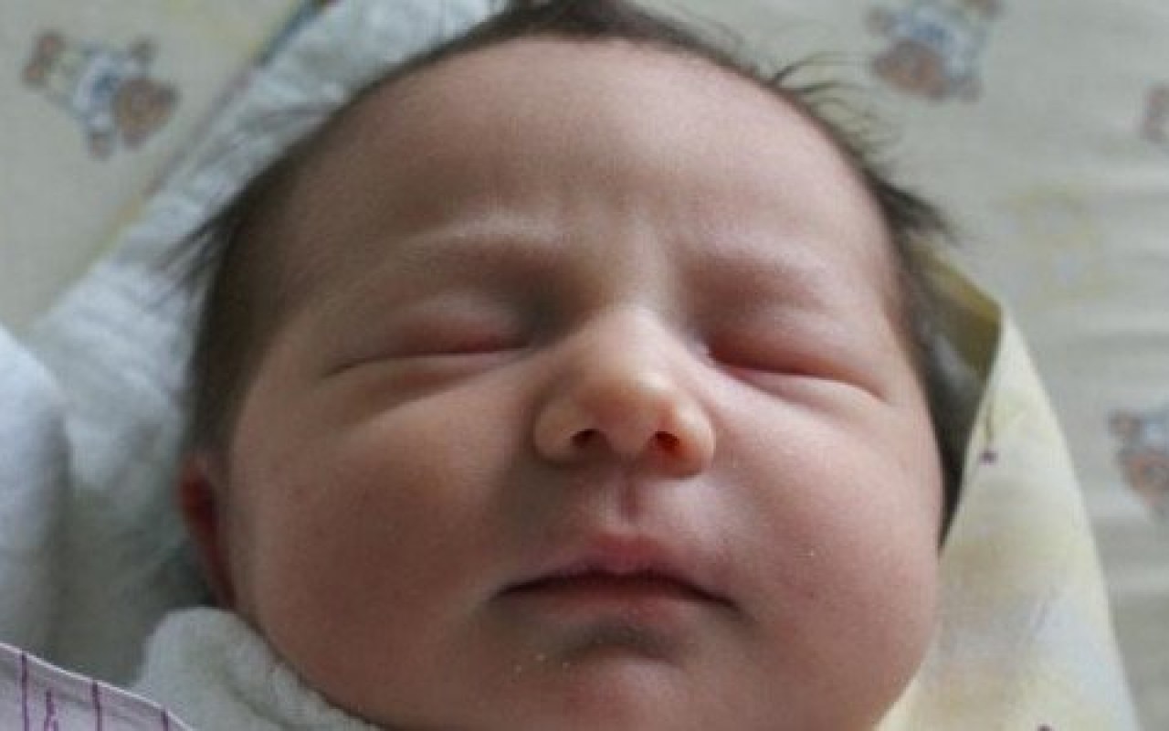 Na początek lutego dziesiątka maluchów – FOTO