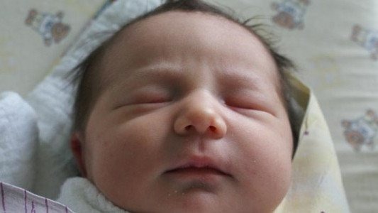 Na początek lutego dziesiątka maluchów – FOTO