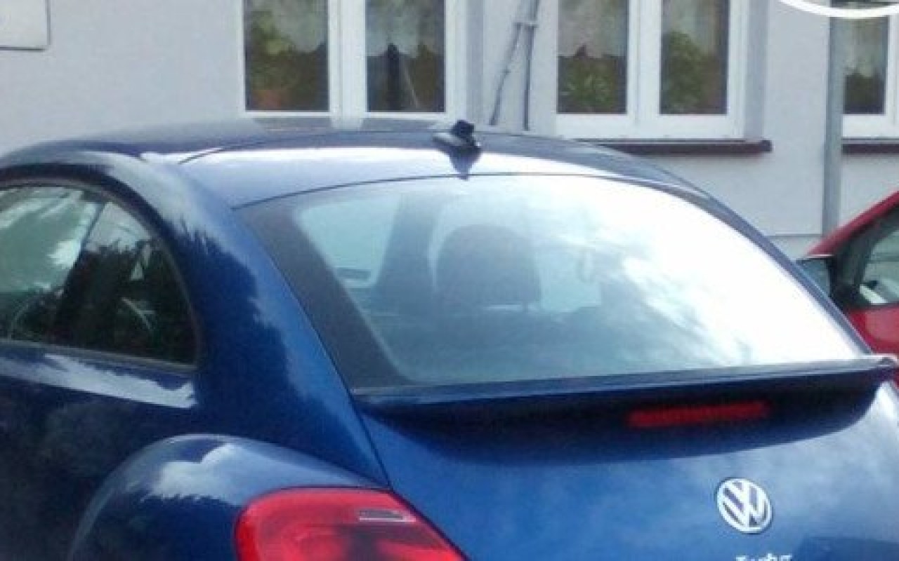 Karny Łoś pod PZ nr 6 w Brzeszczach