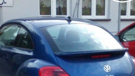 Karny Łoś pod PZ nr 6 w Brzeszczach