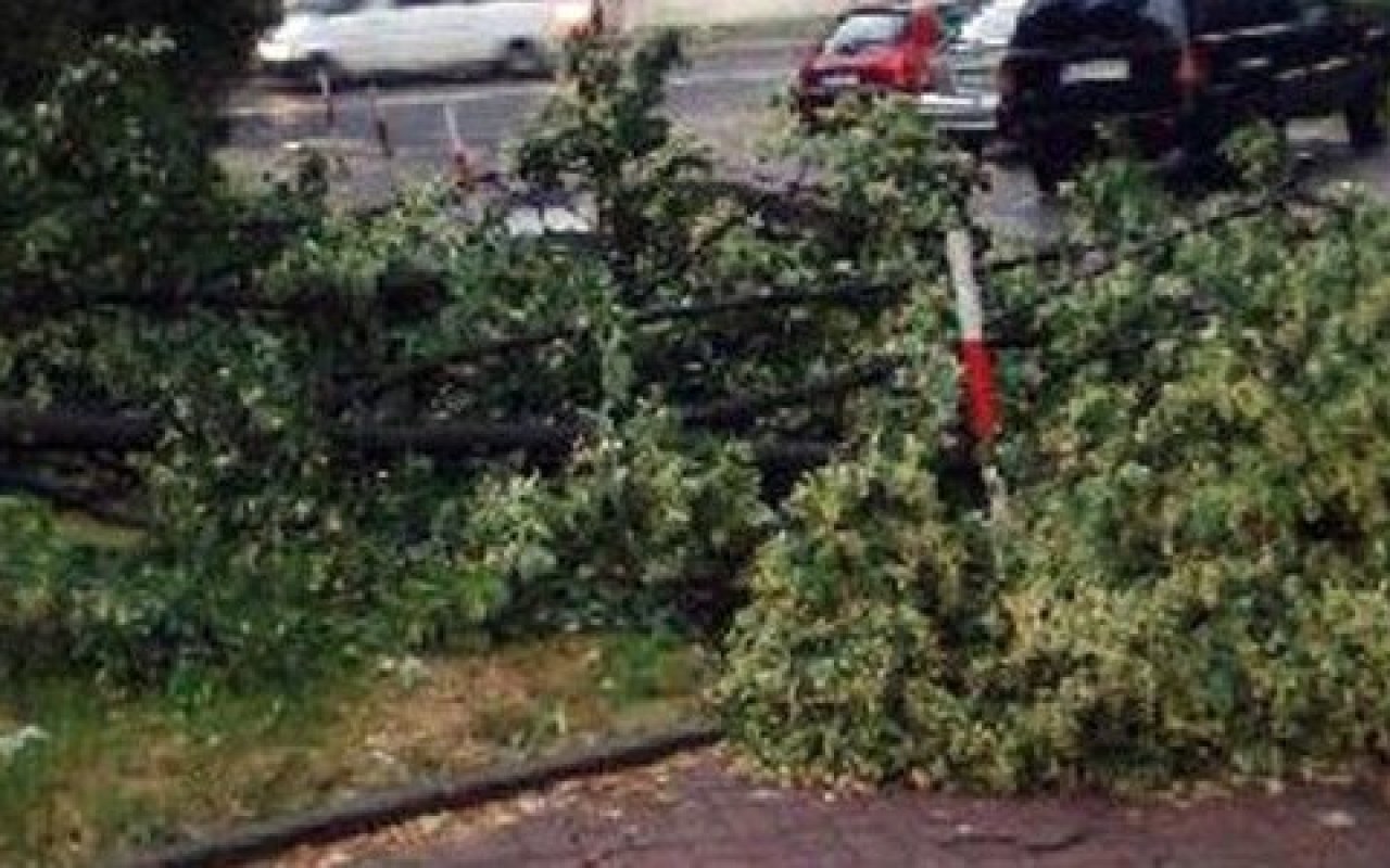 Uwaga na silny wiatr