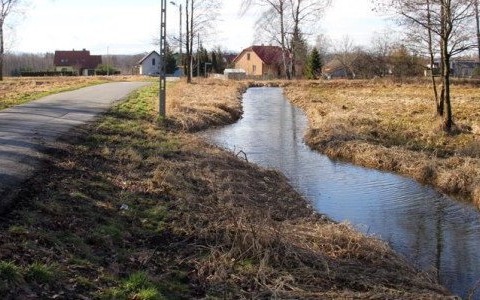 Makabryczne odkrycie w rowie melioracyjnym