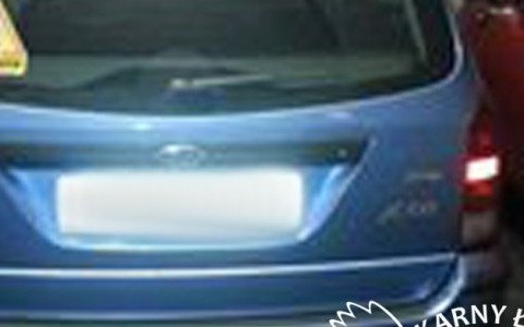 Karny Łoś na miejscu dla rodziców z dziećmi