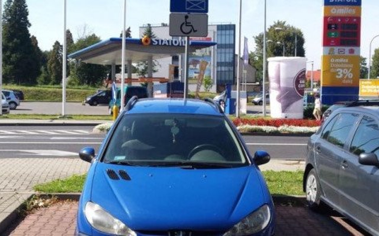 Popołudniowe karne łosie