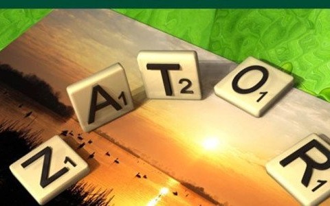 XI Mistrzostwa Doliny Karpia w Scrabble