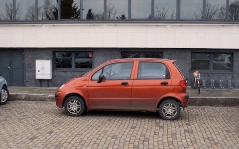 Zasłużyli na Karne Łosie – FOTO