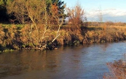 Wielkie sprzątanie Przemszy