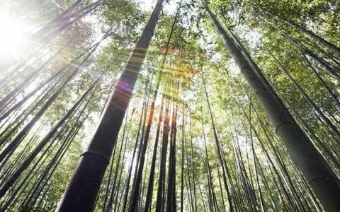 W środę pochmurno, ale jest szansa na przejaśnienia