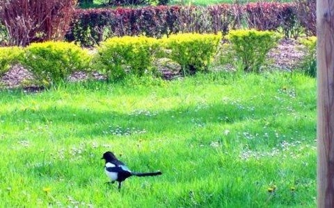 Niż Teresa wprowadza ochłodzenie