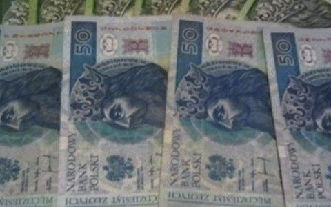 Podał się za kolegę i wziął pożyczki