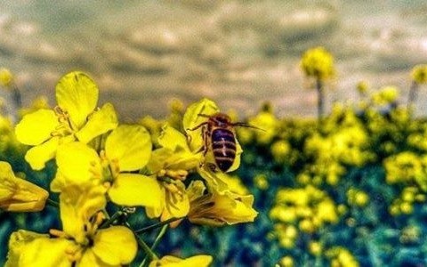 Początek tygodnia burzowy