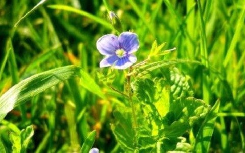 Poniedziałek pełny słońca