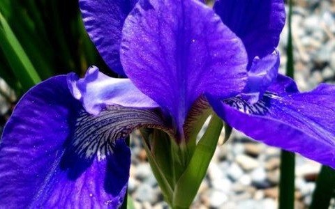 Prognoza pogody na poniedziałek