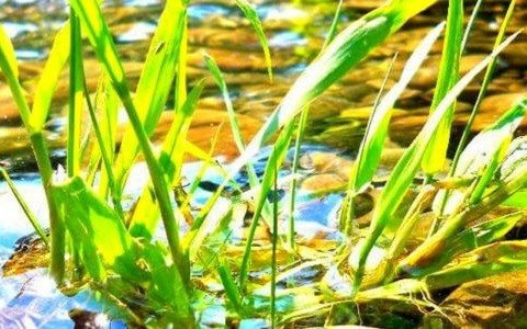 Pogoda na niedzielę i kolejne pięć dni