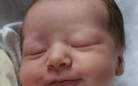 Ósemka maluchów przyszła na świat – FOTO